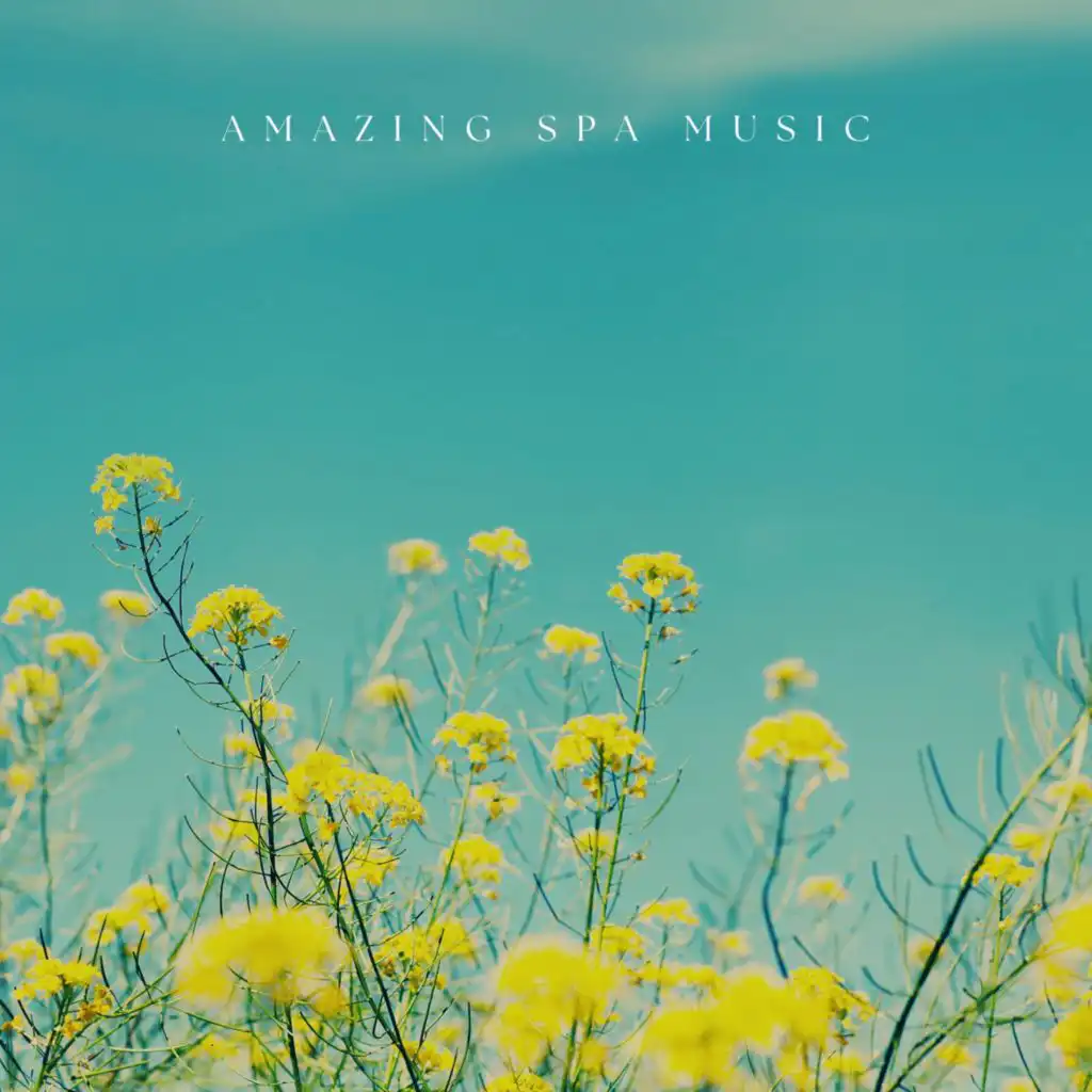 The Best Spa Music