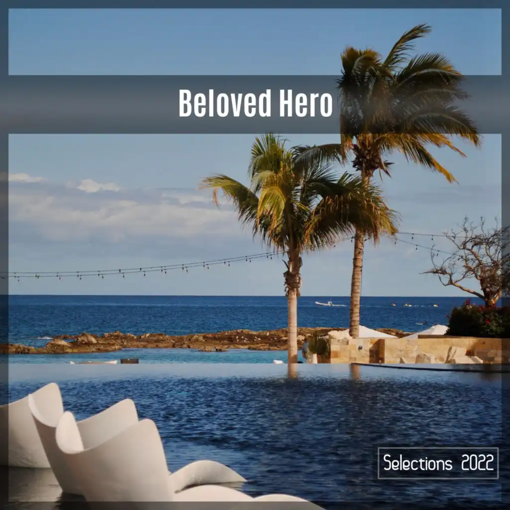 Beloved Hero Selections 2022