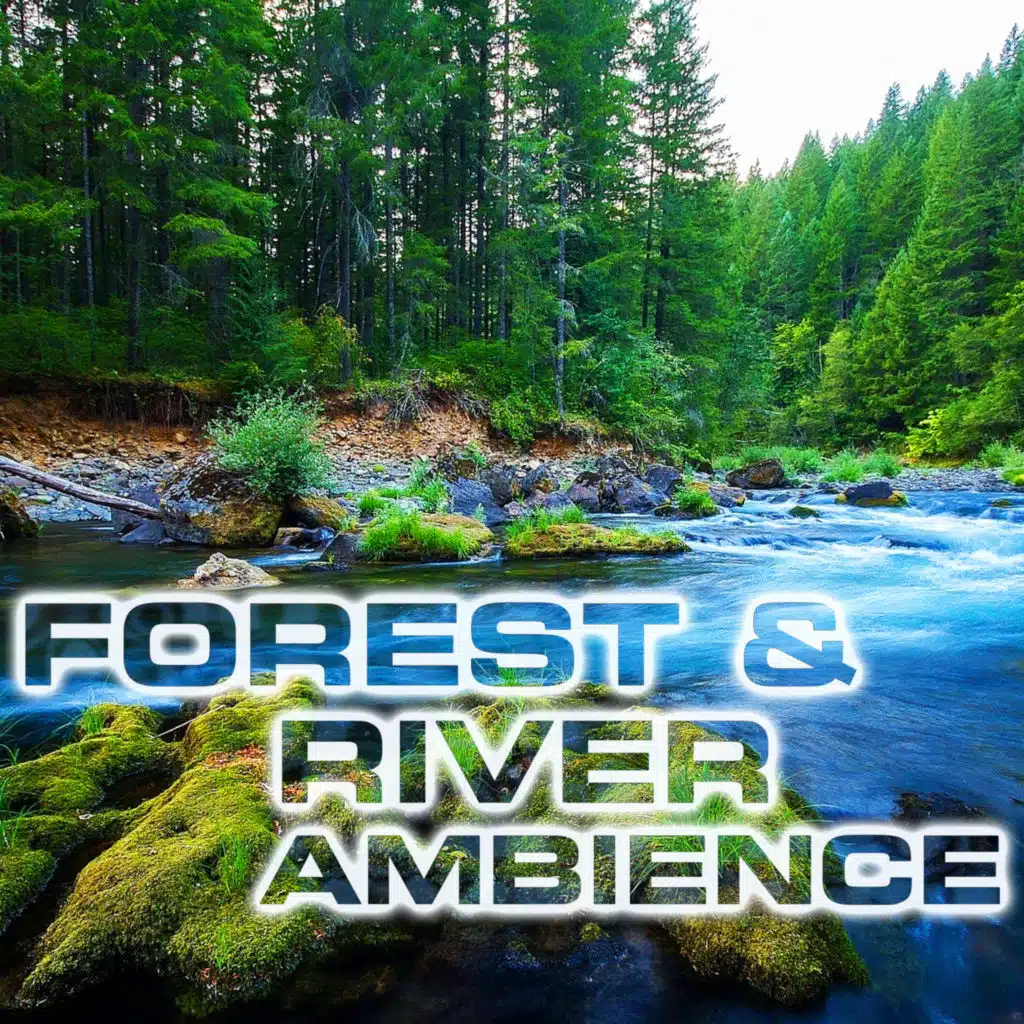 Forest & River Calming Ambience (feat. NatGeo Soundscapes)