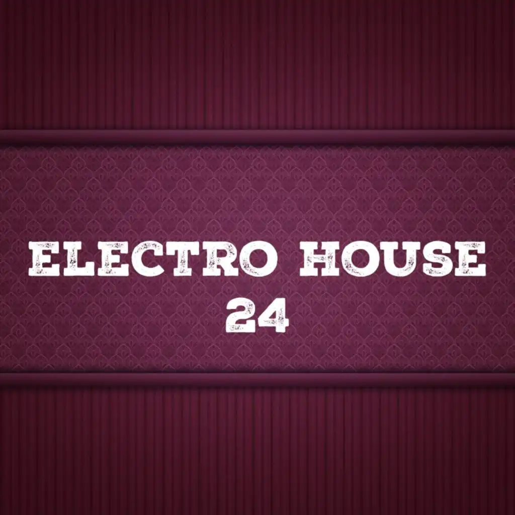 Electro House, Vol. 24