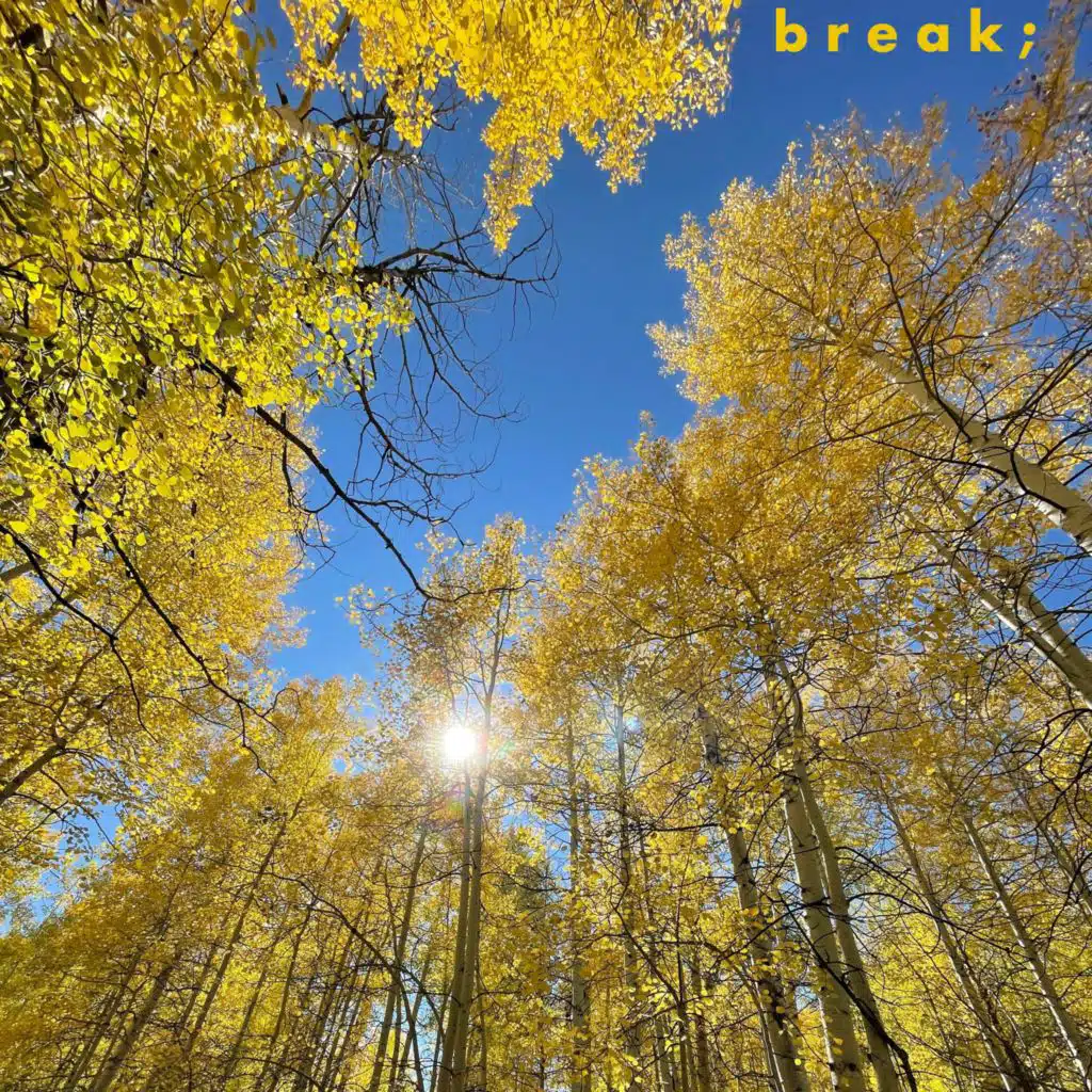 break