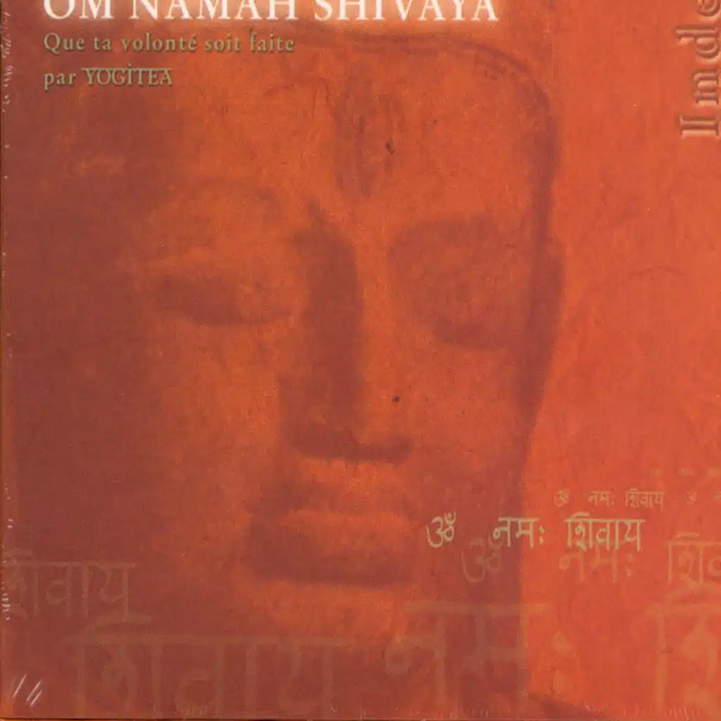 Om Nama Shivay