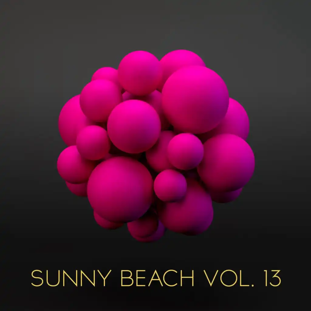 Sunny Beach, Vol. 13