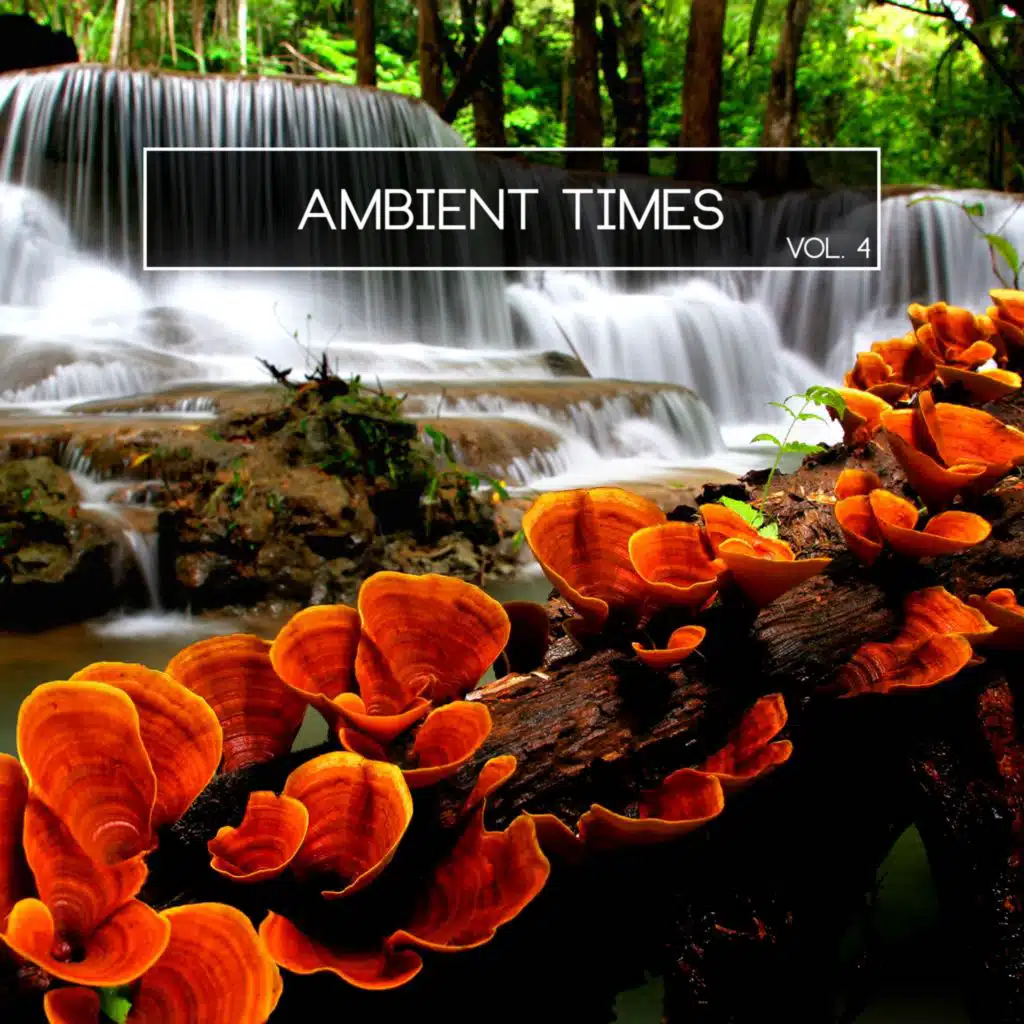 Ambient Times, Vol. 4
