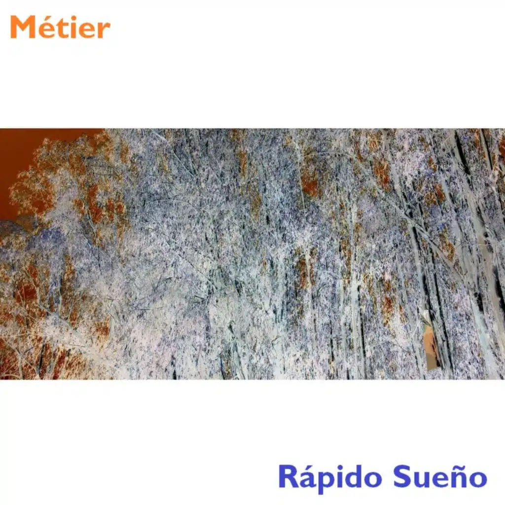 Rápido Sueño