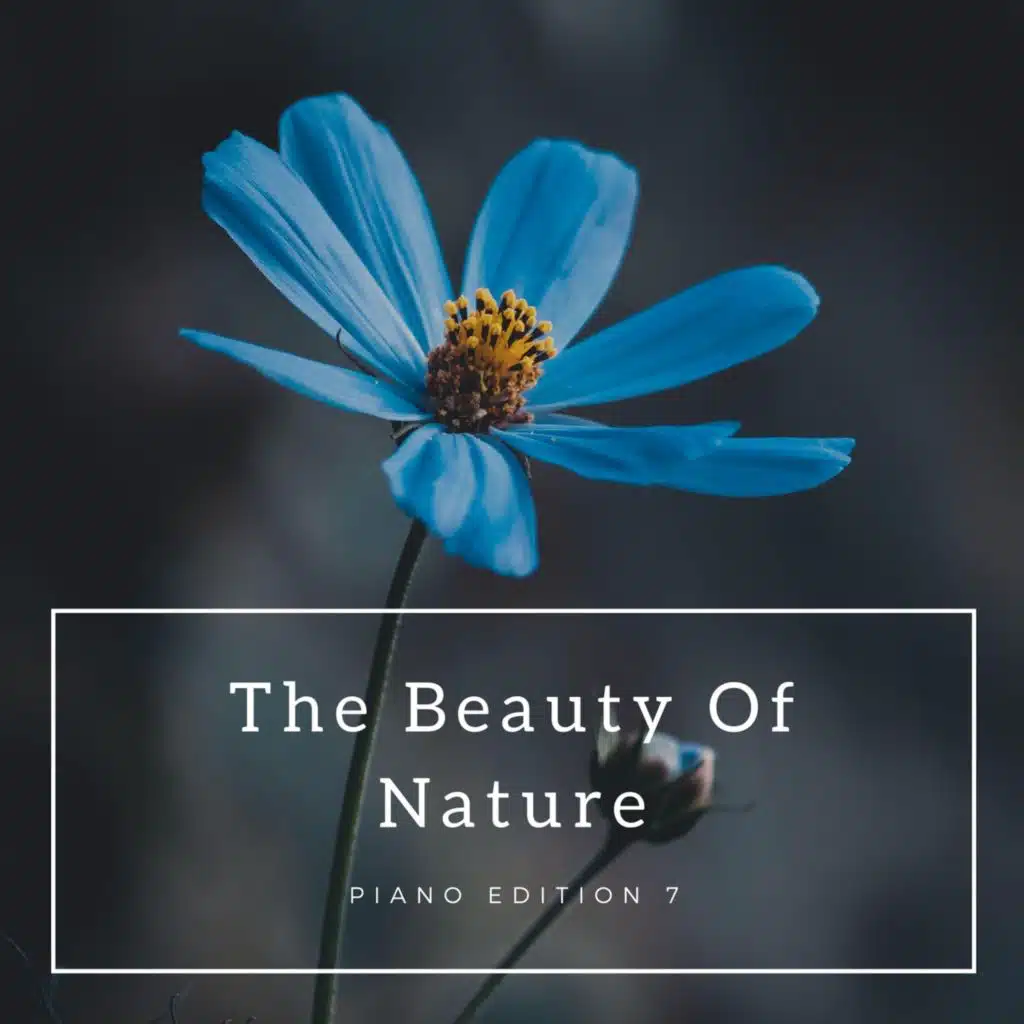 Don't Talk Just Listen (Forest Version)