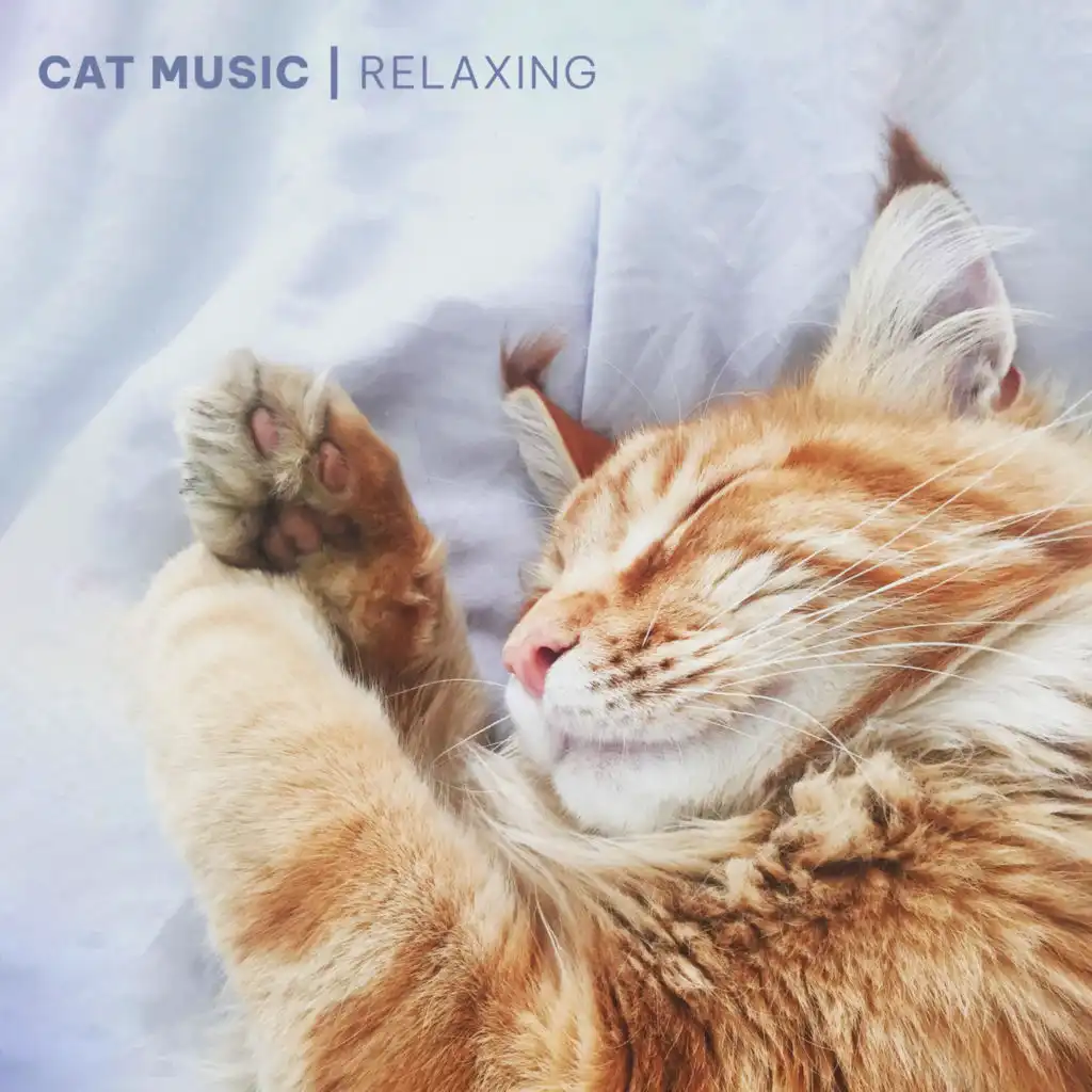 Cat Sleeping Music