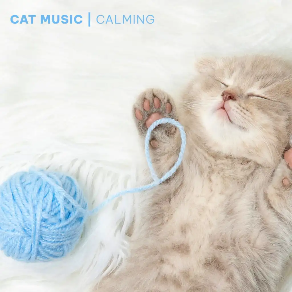 Music Therapy for Anxious Cats