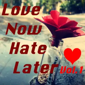 Love Now Hate Later, Vol.1