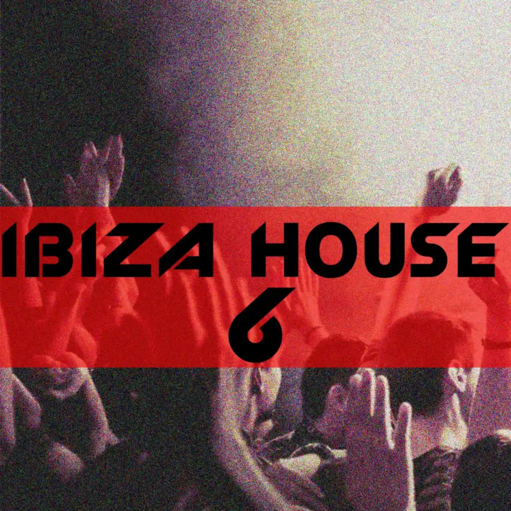 Ibiza House, Vol 6