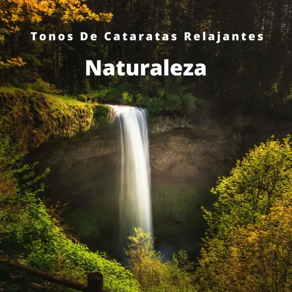 Naturaleza: Tonos De Cataratas  Relajantes