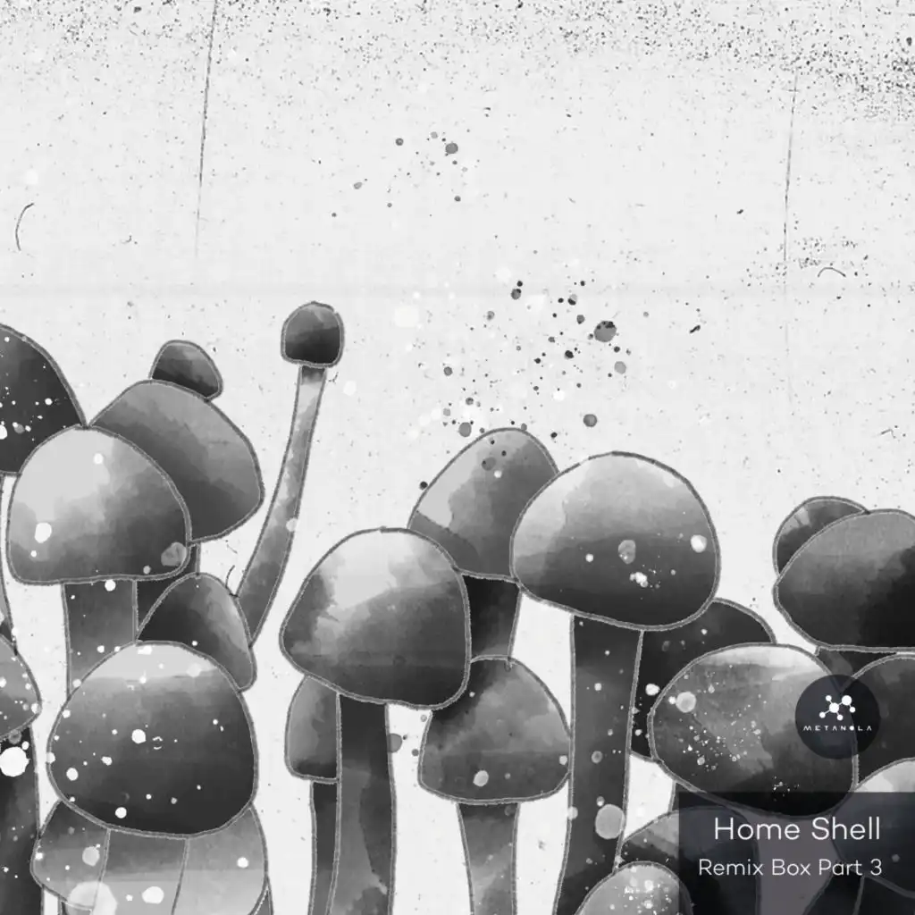 Adjustable Overload (Home Shell Remix)