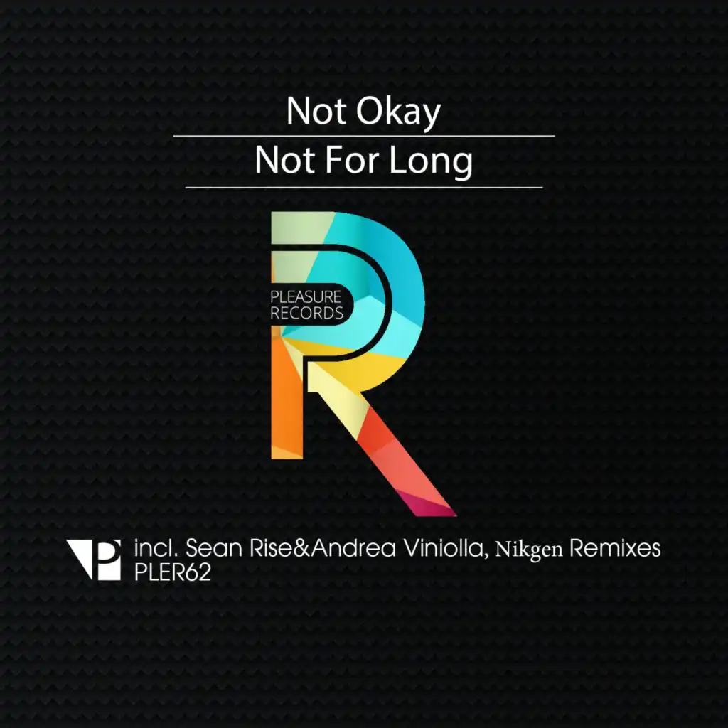 Not for Long (Nikgen Remix)