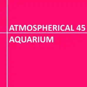 Atmospherical 45