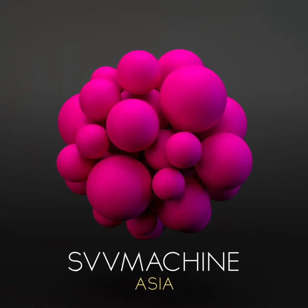 SVVmachine