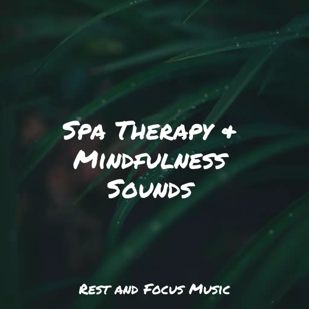 Spa Therapy & Mindfulness Sounds
