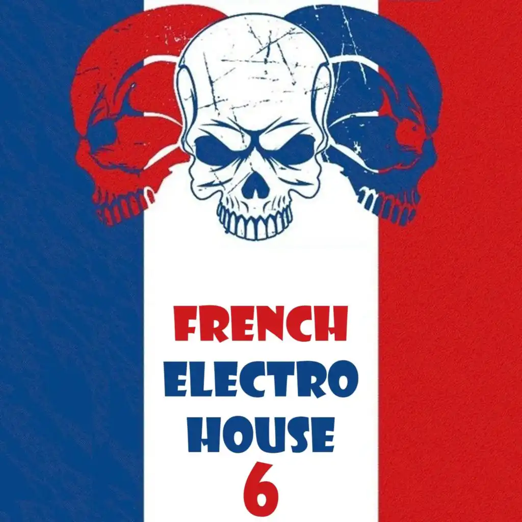 French Electro House, Vol. 6