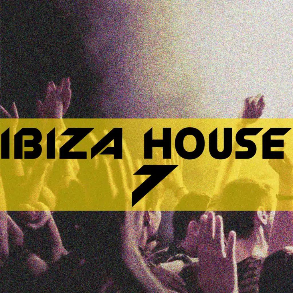Ibiza House, Vol 7