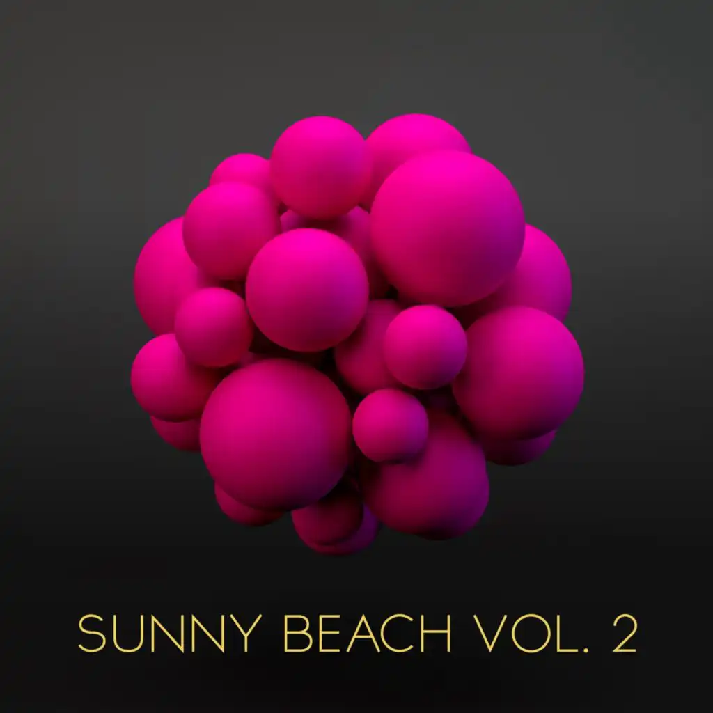 Sunny Beach, Vol. 2
