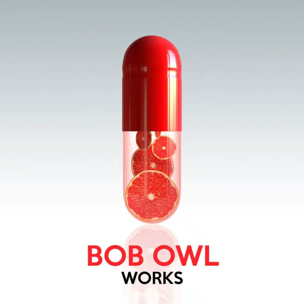 Bob Owl Works