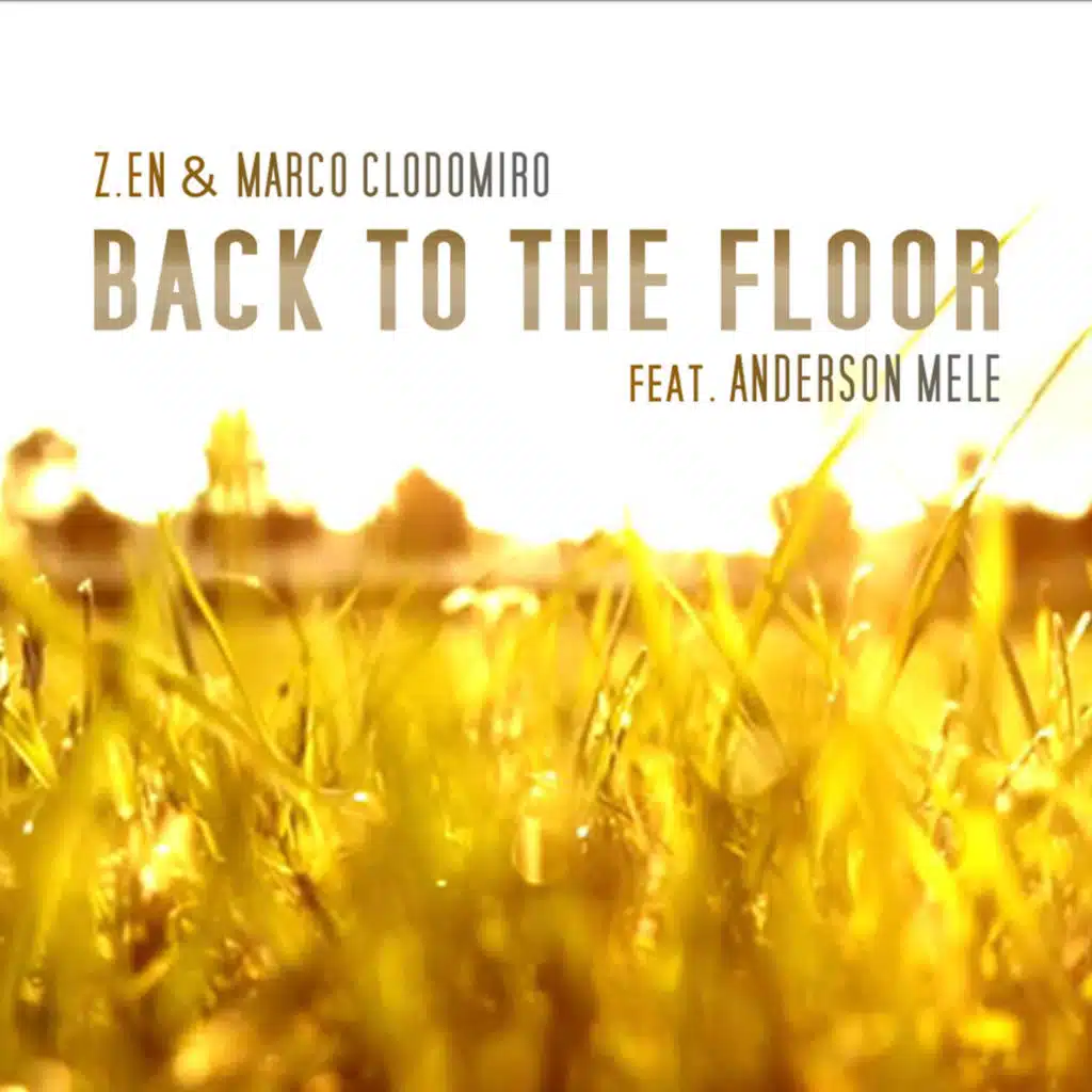 Back to the Floor (Enzo Zagaria Club Radio Edit) [feat. Anderson Mele]