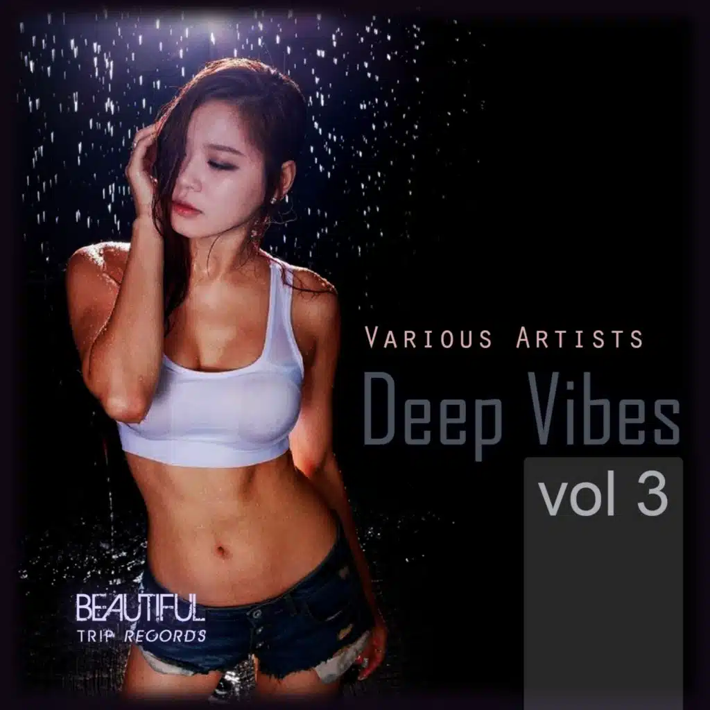 Deep Vibes, Vol. 3