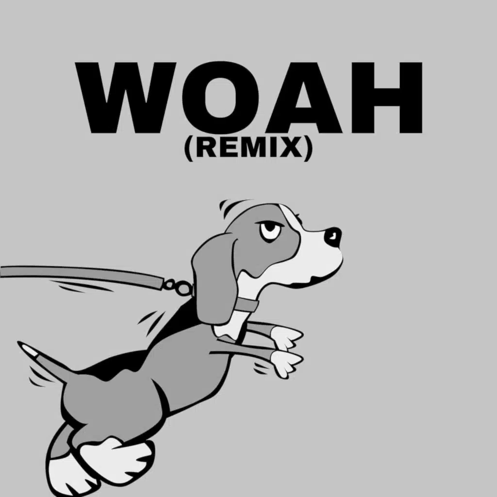 Woah (feat. Sam Ho) [Remix]