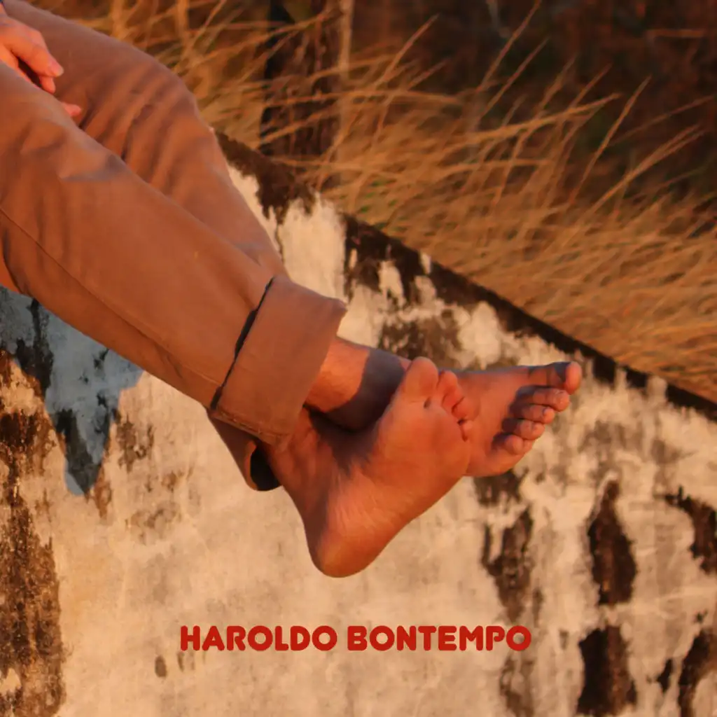 Haroldo Bontempo