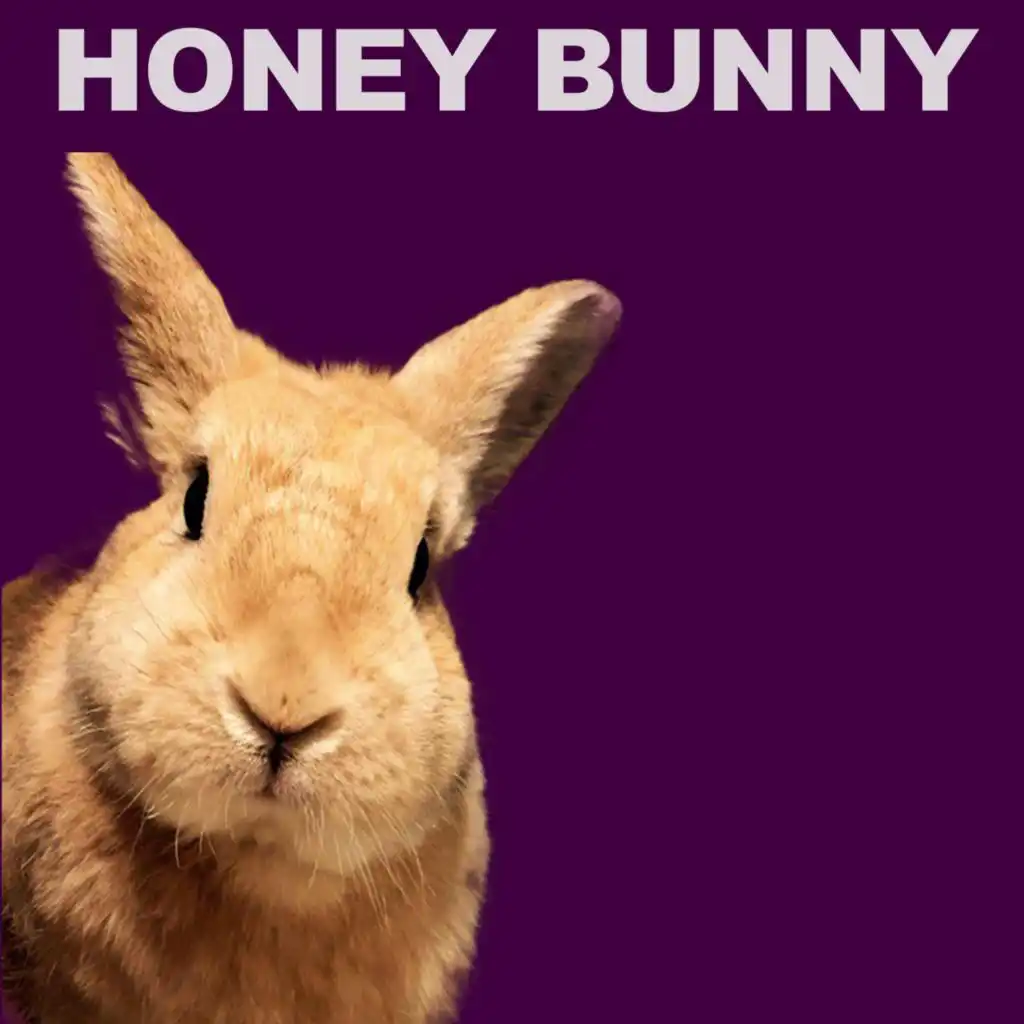 Tehno Sax (Honey Bunny Remix)