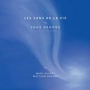 Les sons de la vie (feat. Marc Ducret & Matthew Bourne)