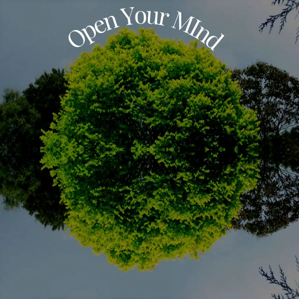 Self Reflection (feat. Lo-Fi Beats)