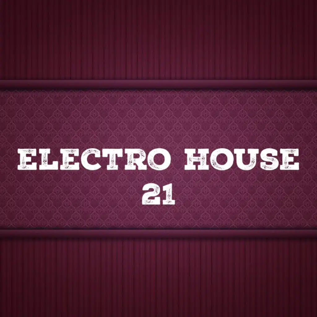 Electro House, Vol. 21