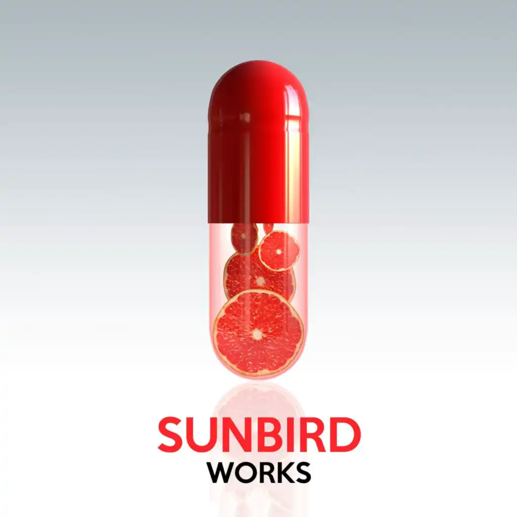 Sunbird Works