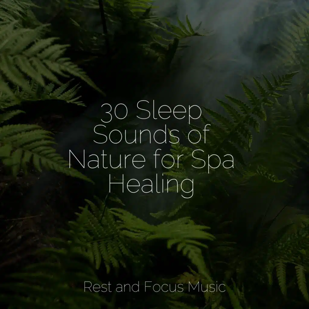 Peaceful Rest and Meditation