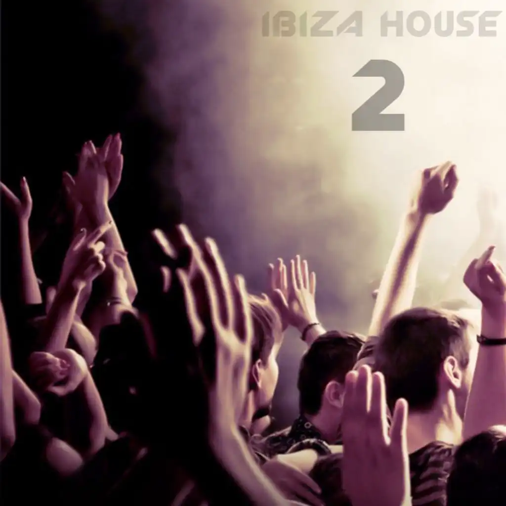 Ibiza House, Vol 2