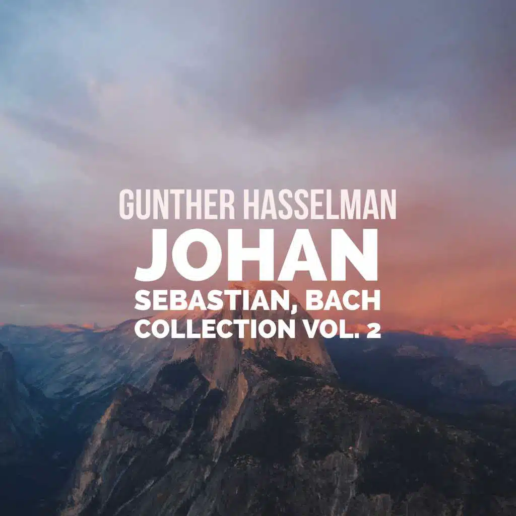 Bach Collection Vol. 2