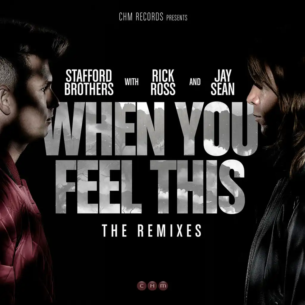 When You Feel This (Sikdope Remix) [feat. Jay Sean & Rick Ross]