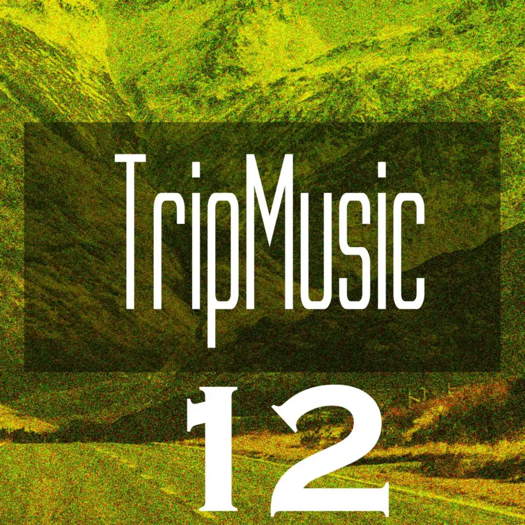 TripMusic 12