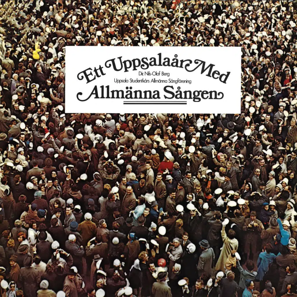 Ett Uppsalaår med Allmänna Sången
