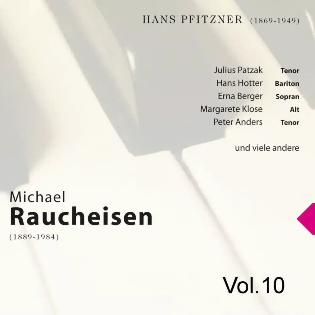 Michael Raucheisen Vol. 10