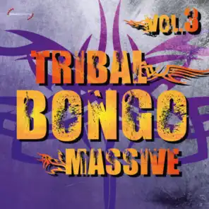 Tribal Bongo Massive, Vol. 3