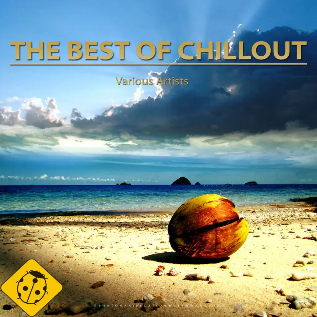 The Best of Chillout