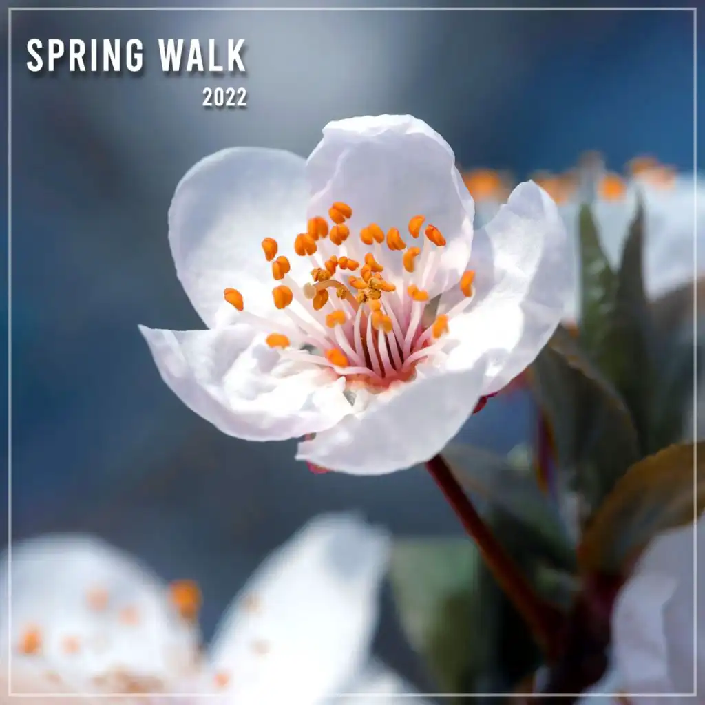 Spring Walk 2022