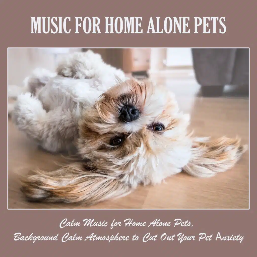 Music for Home Alone Pets: Calm Music for Home Alone Pets, Background Calm Atmosphere to Cut out Your Pet Аnxiety