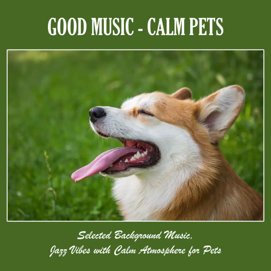 Good Music - Calm Pets: Selected Background Music, Jazz Vibes with Calm Atmosphere for Pets