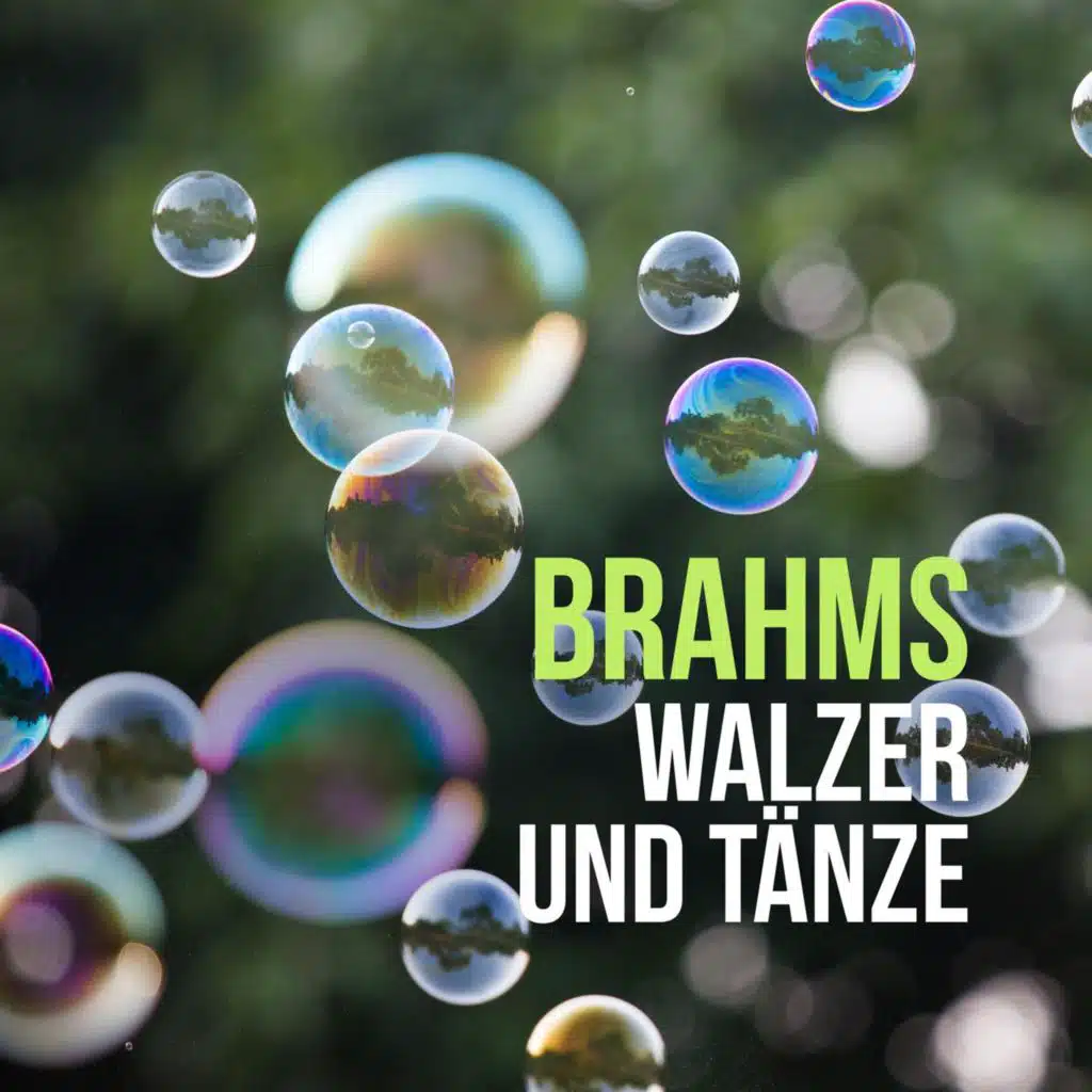 Franck Braley & Nicholas Angelich