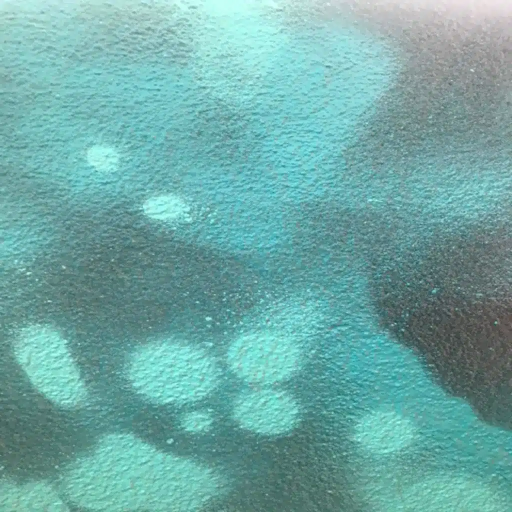 Rapids