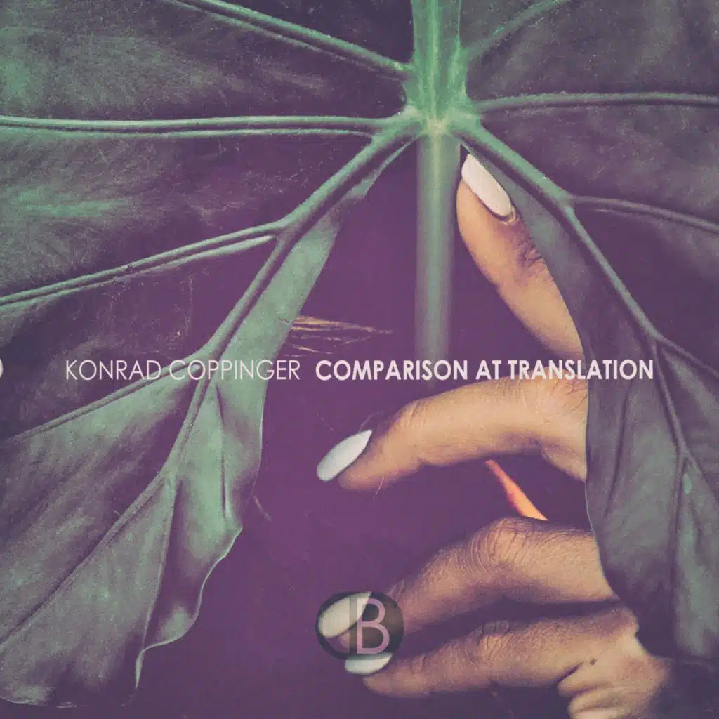 Comparison at Translation