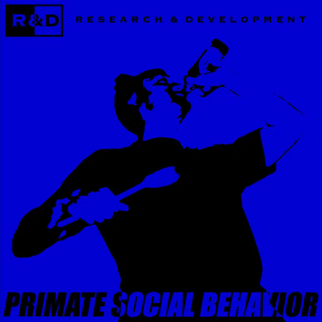Primate Social Behavior