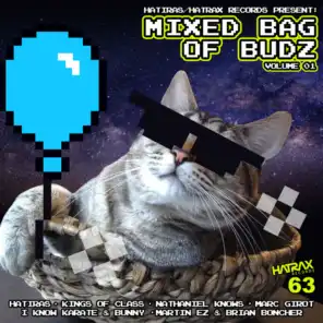 Mixed Bag of Budz, Vol. 1